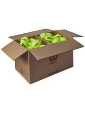 קרטון כדורי טניס ווילסון | WILSON TENNIS BALLS TRINITI פיור טניס